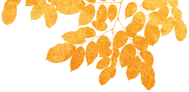 Border leaves decoration