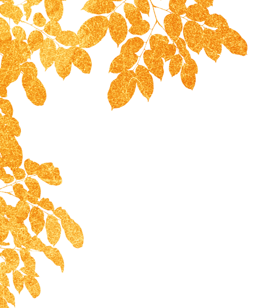 Border leaves decoration